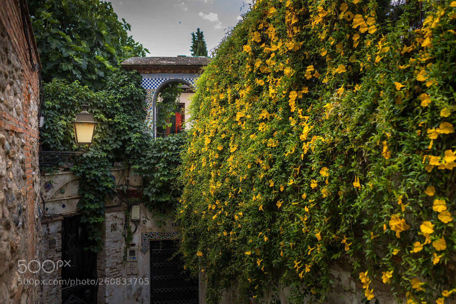 Canon EOS 6D Mark II sample photo. Camino al lavadero photography