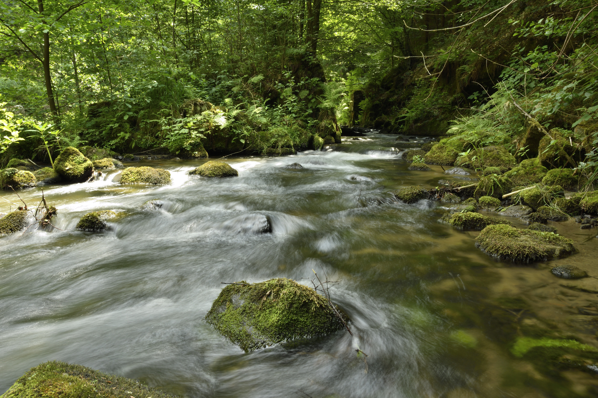 Sigma 17-50mm F2.8 EX DC OS HSM sample photo. Creek saxony switzerland photography