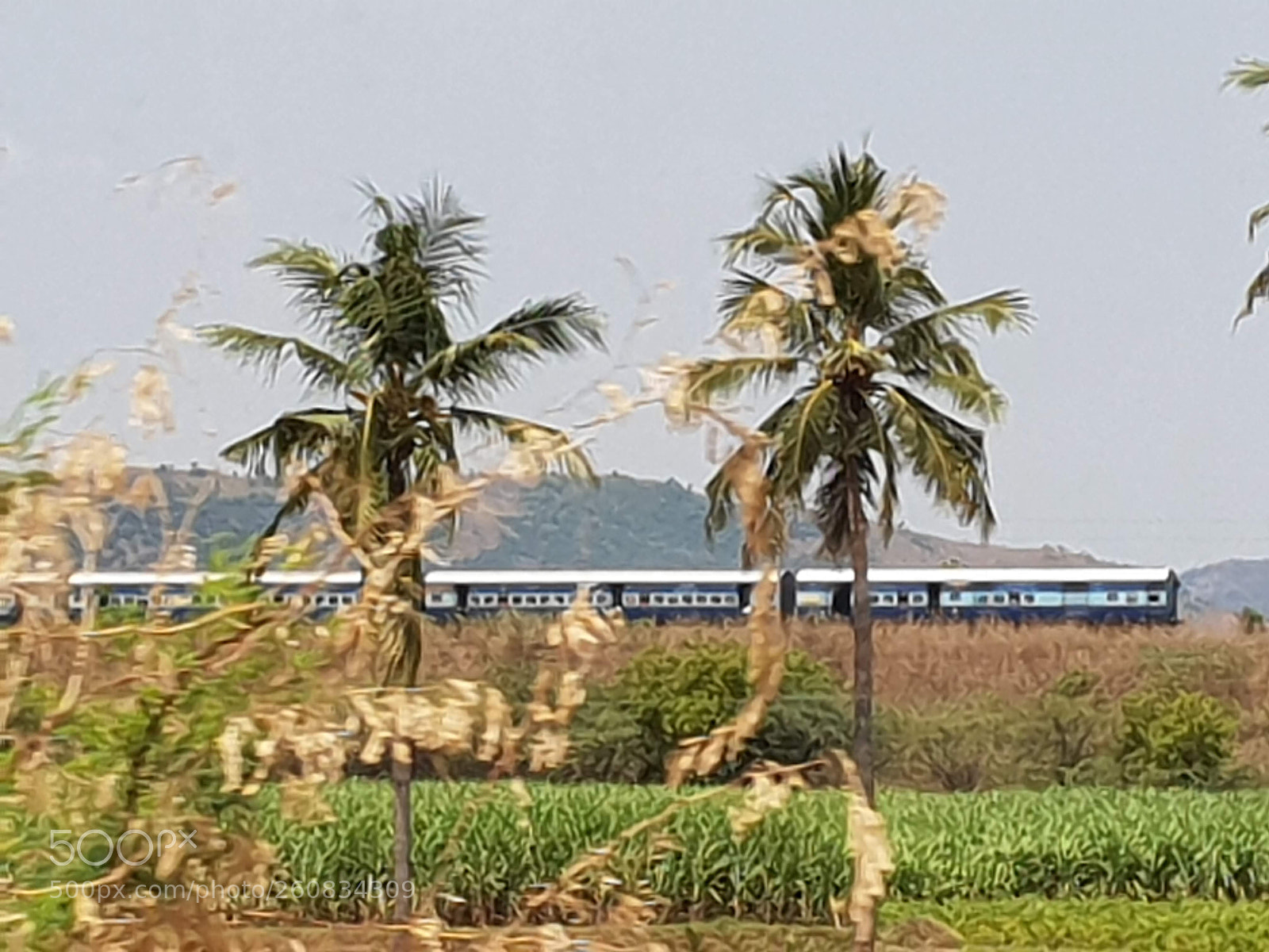 Samsung Galaxy S9 sample photo. Summer train photography