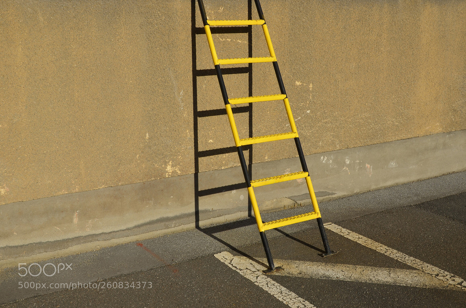 Nikon D7000 sample photo. Zebra ladder photography