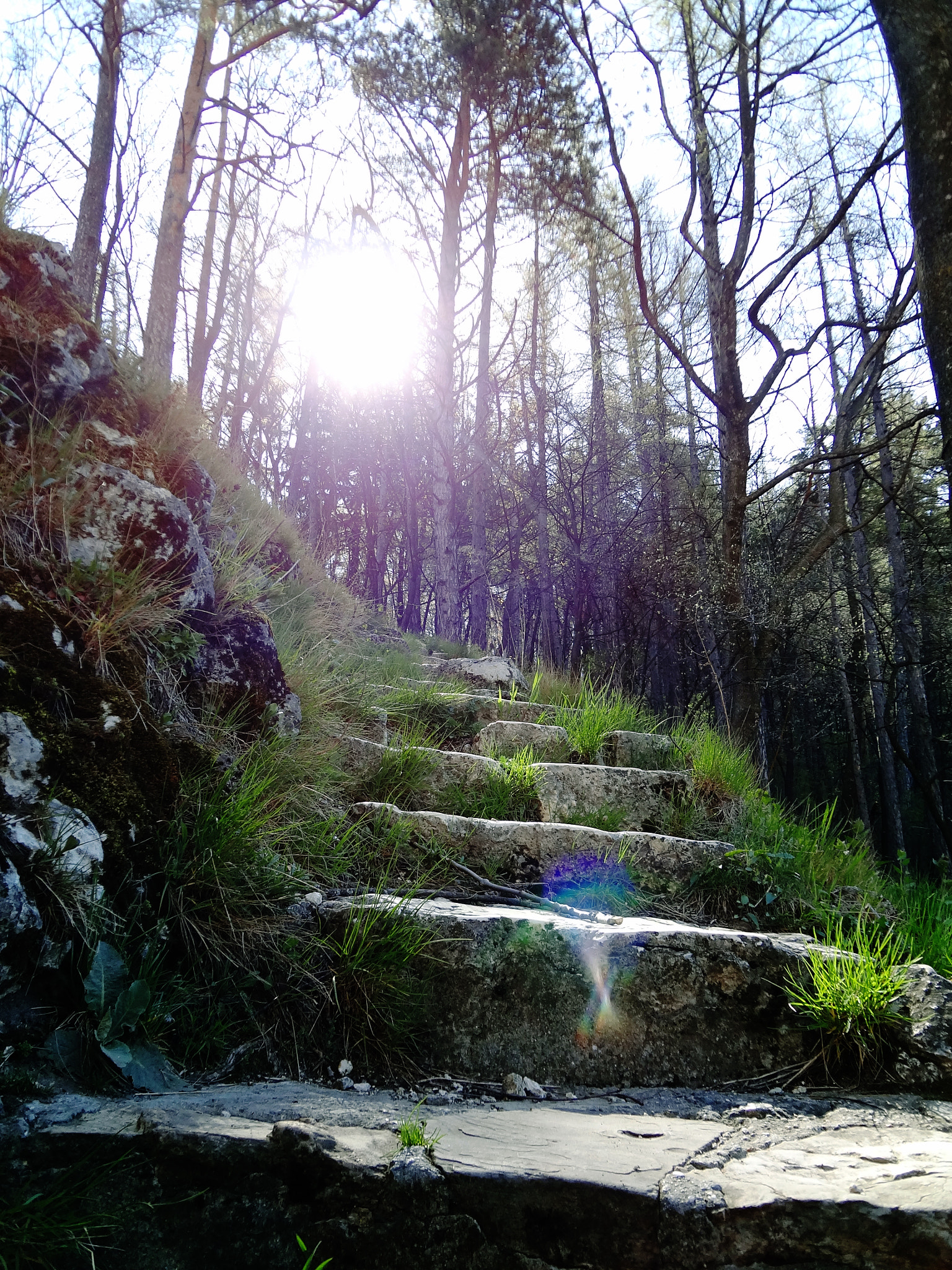 Sony DSC-WX9 sample photo. Stairs photography