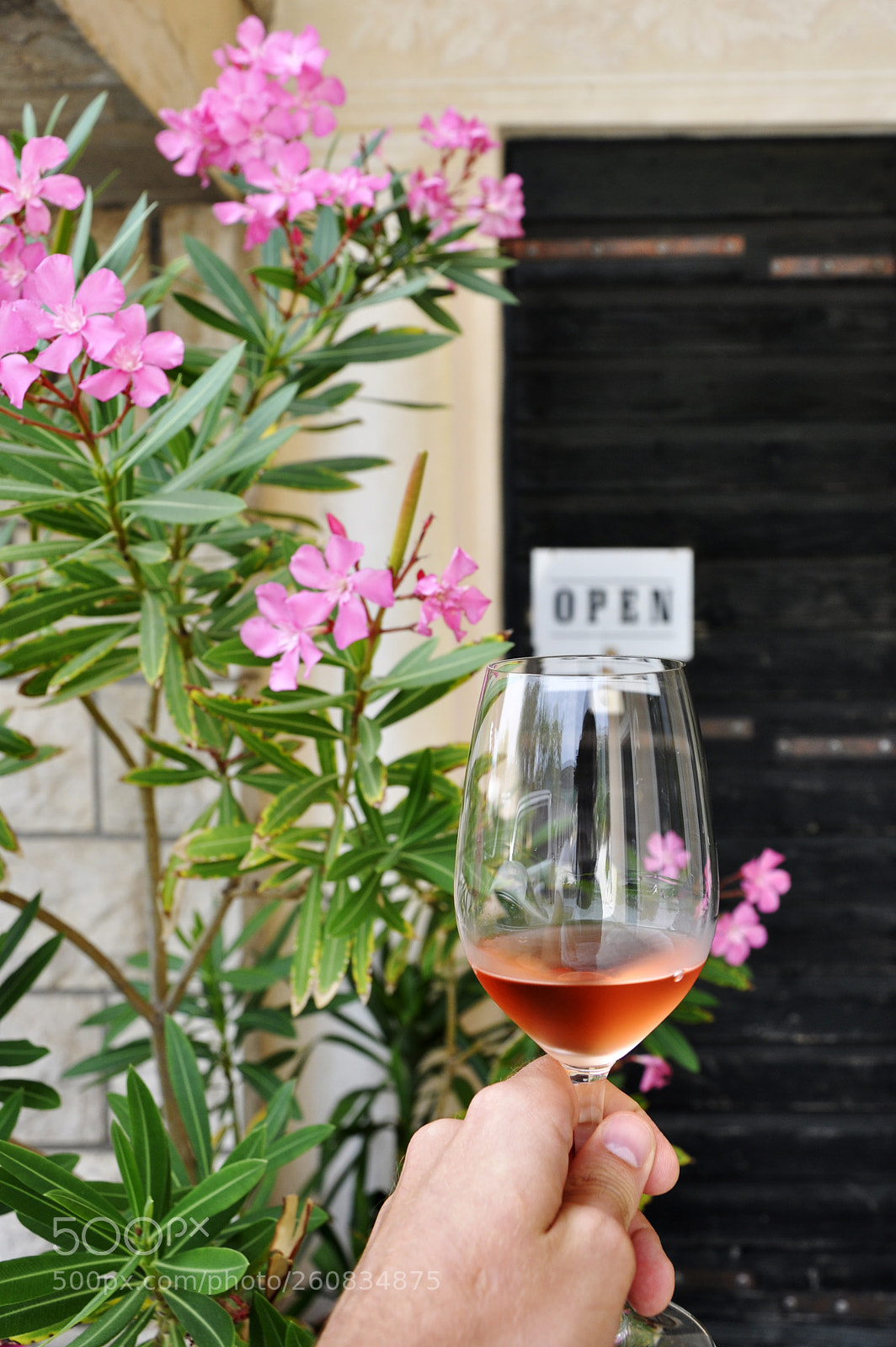 Nikon D90 sample photo. Wine in croatia photography