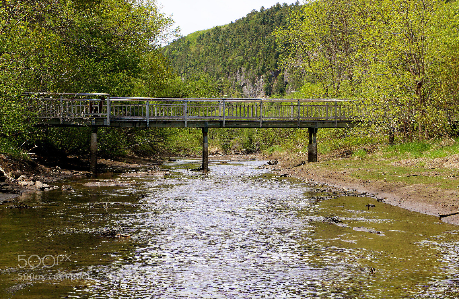 Canon EOS 70D sample photo. Foot bridge photography