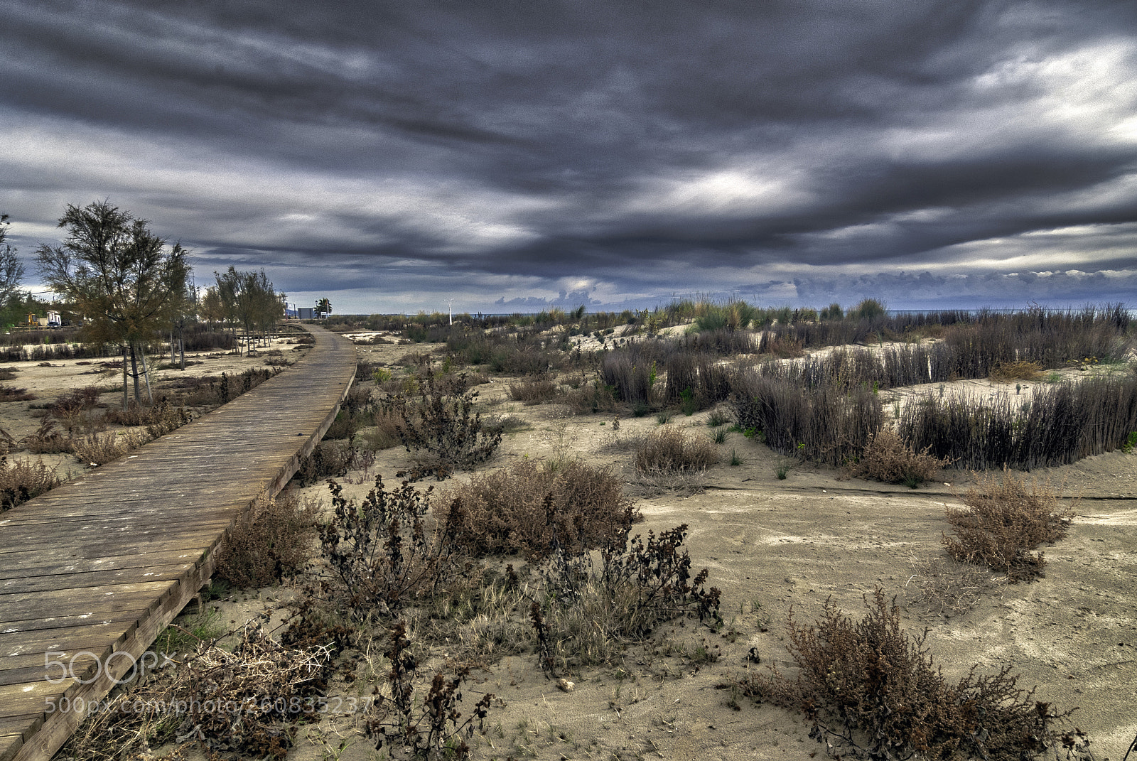 Nikon D80 sample photo. Walking photography