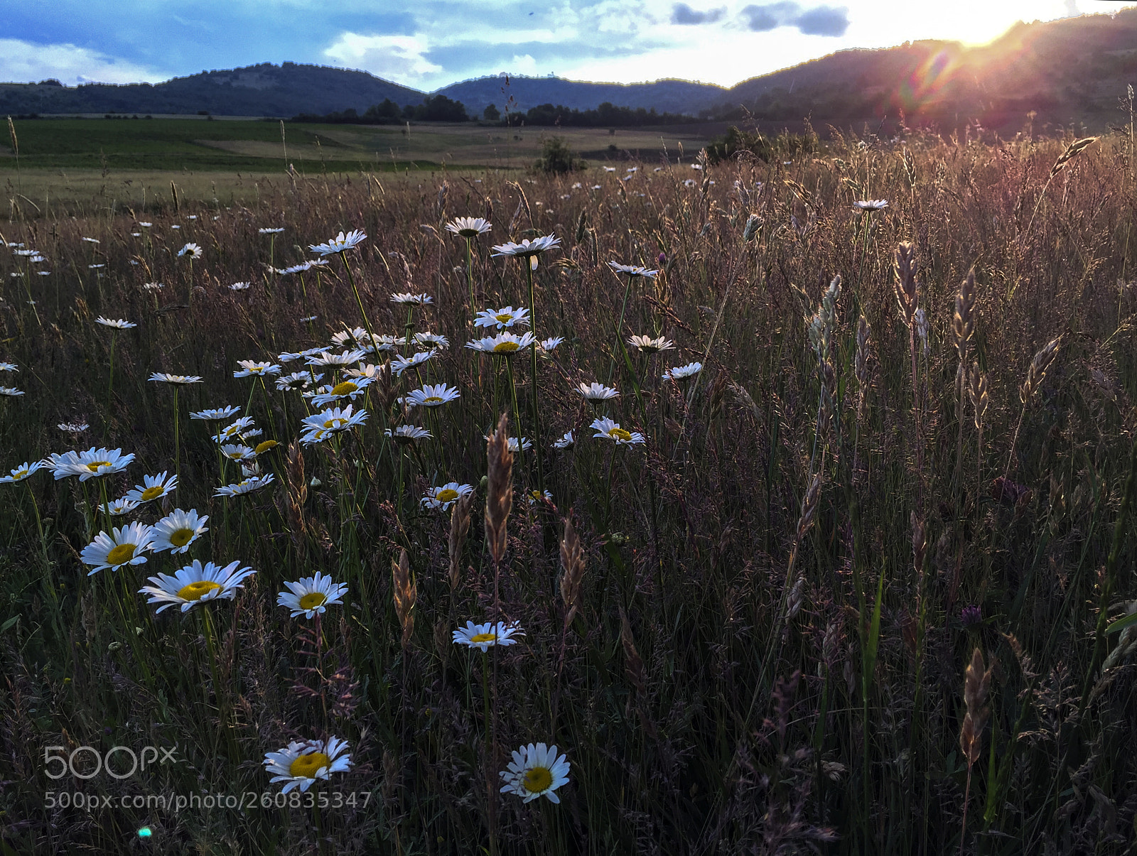 Apple iPhone 6 sample photo. Sunset photography