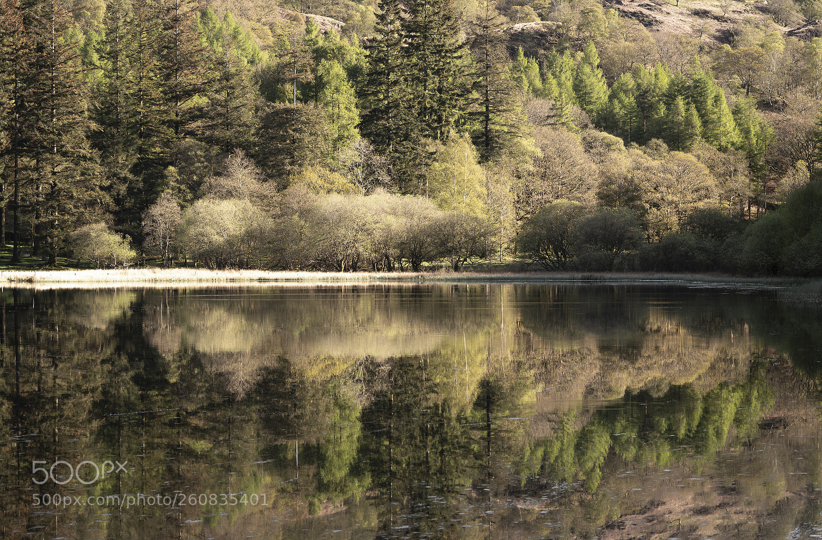 Sony a7R III sample photo. Yew tree tarn reflection photography