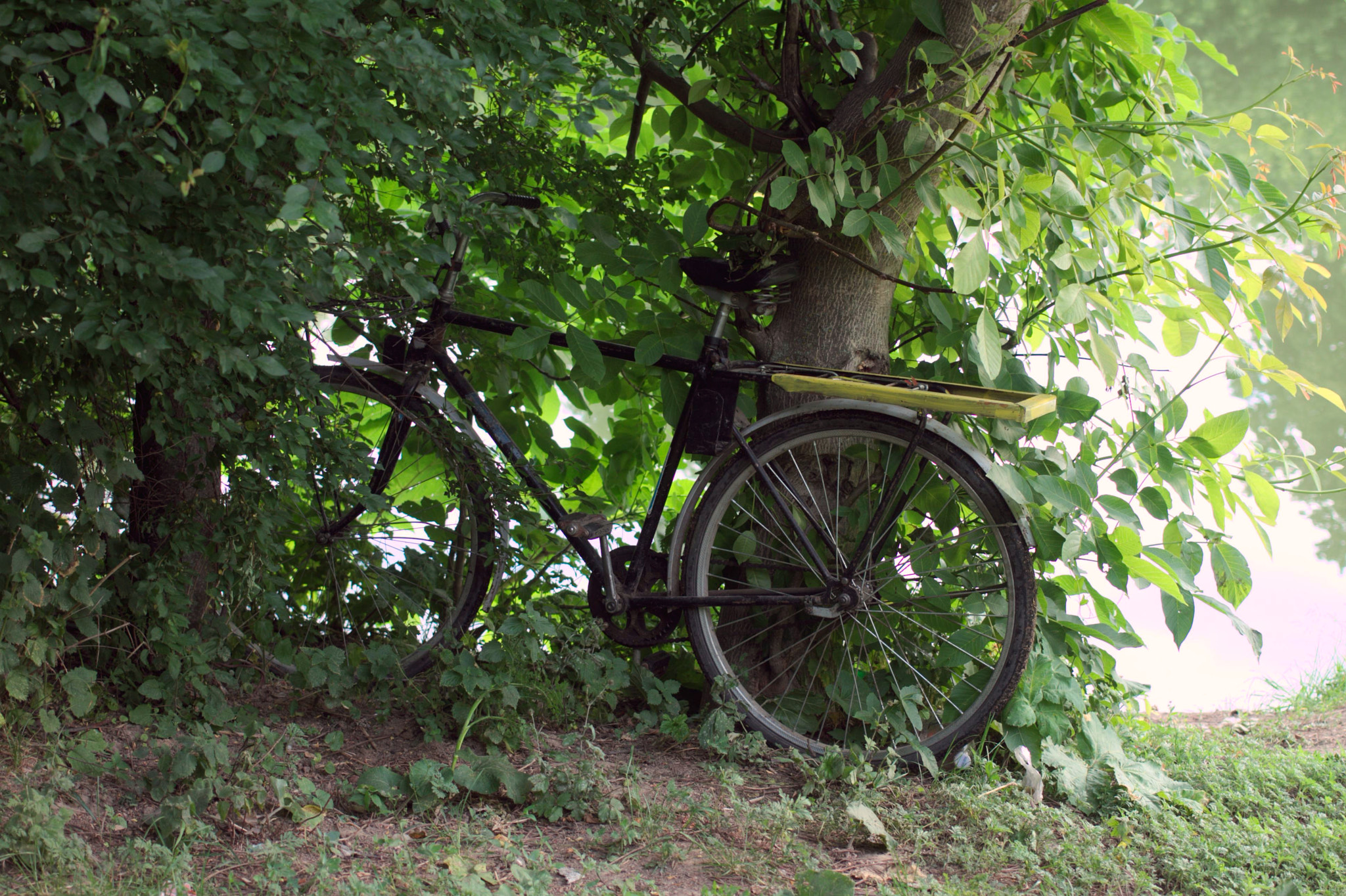 Canon EOS 7D + Canon EF 40mm F2.8 STM sample photo. Old bycicle photography