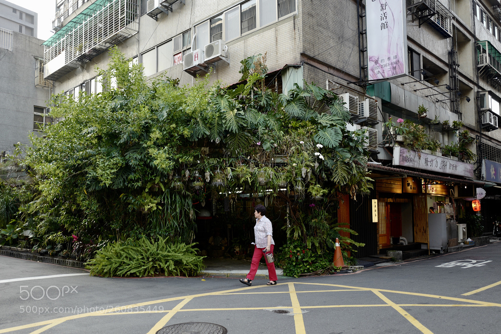 Leica Q (Typ 116) sample photo. 路過一個裝修得像花果山洞口一樣風格的門口 photography