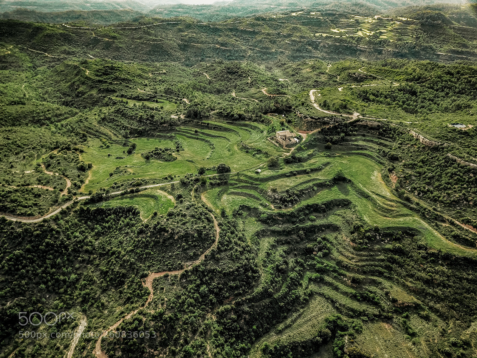 DJI FC220 sample photo. Nature photography