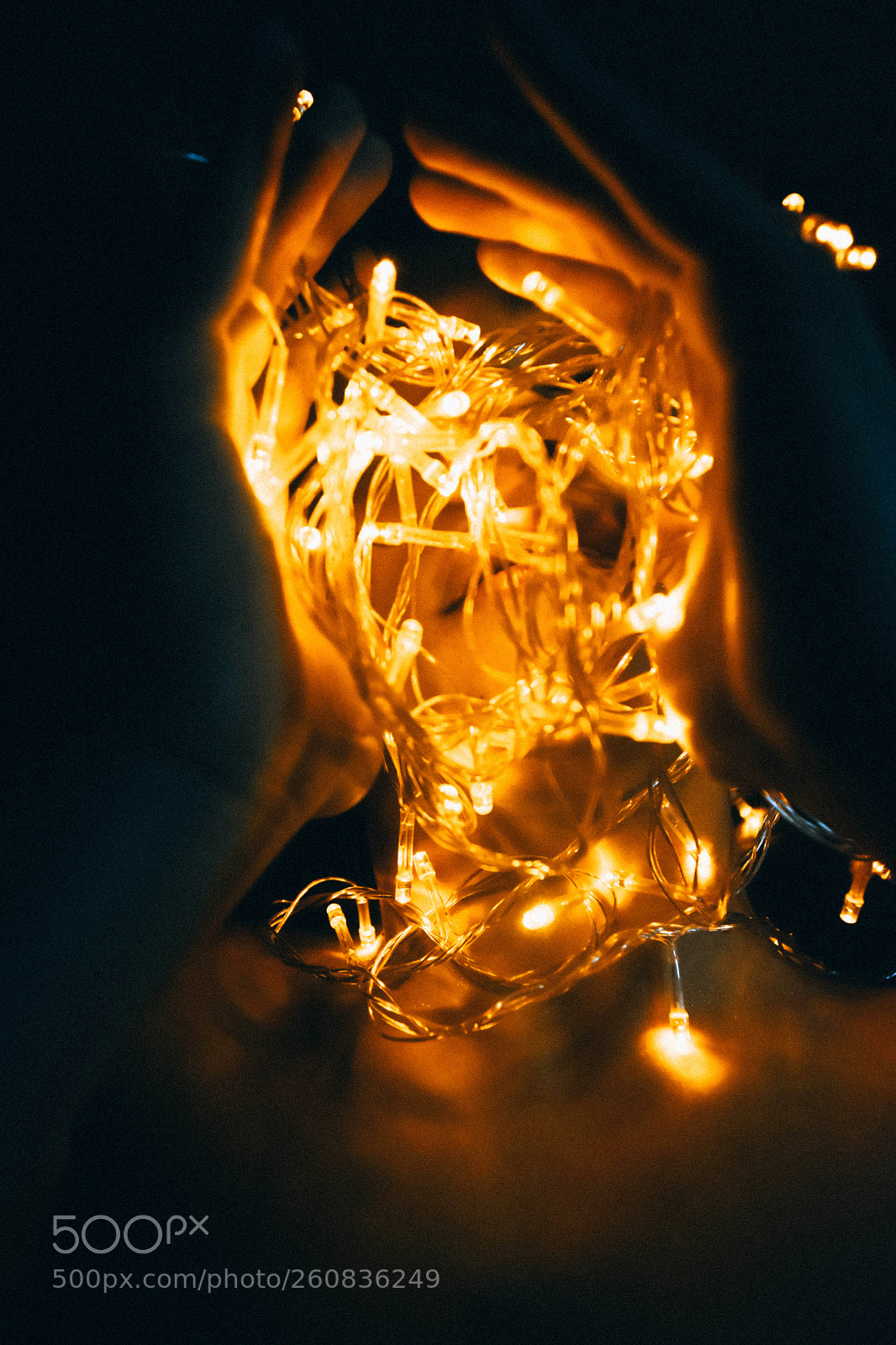 Nikon D5500 sample photo. Untitled photography