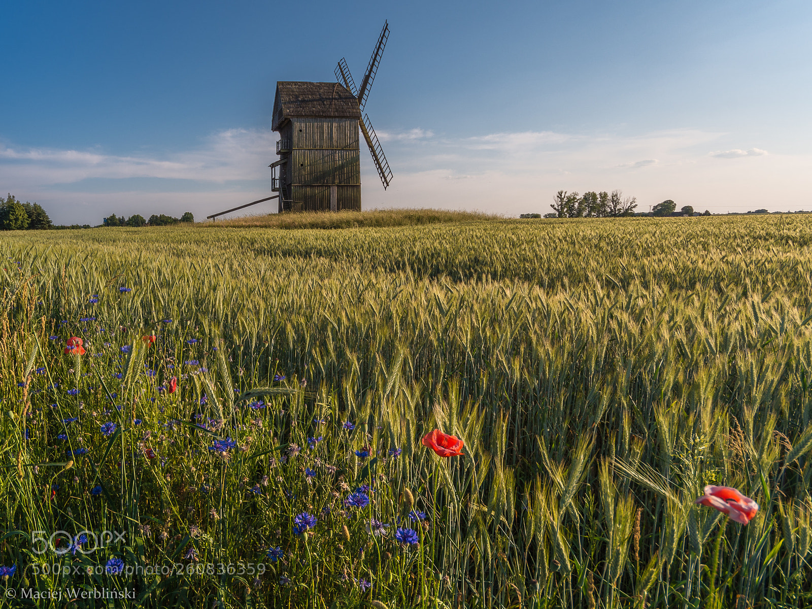 Pentax K-50 sample photo. Windmill photography