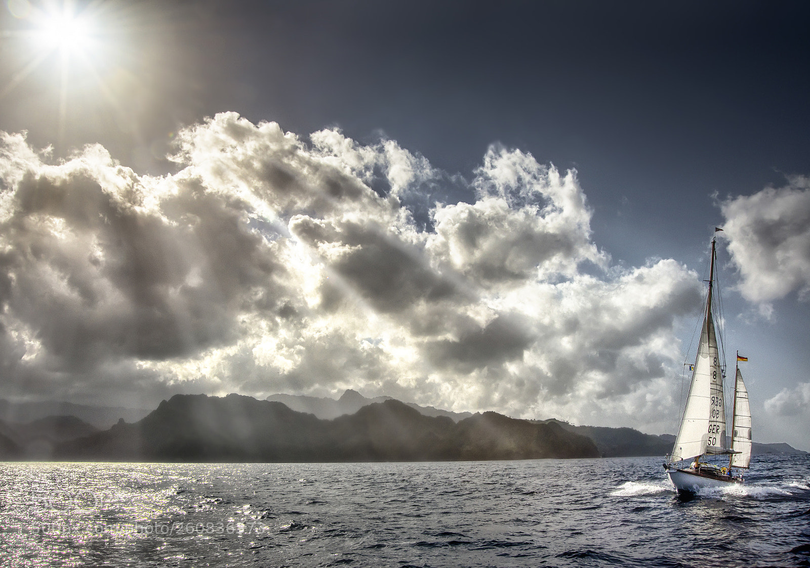 Nikon D610 sample photo. Morning sun in the photography