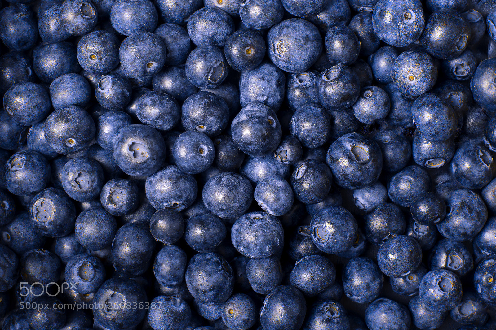 Nikon D5200 sample photo. Blueberries photography
