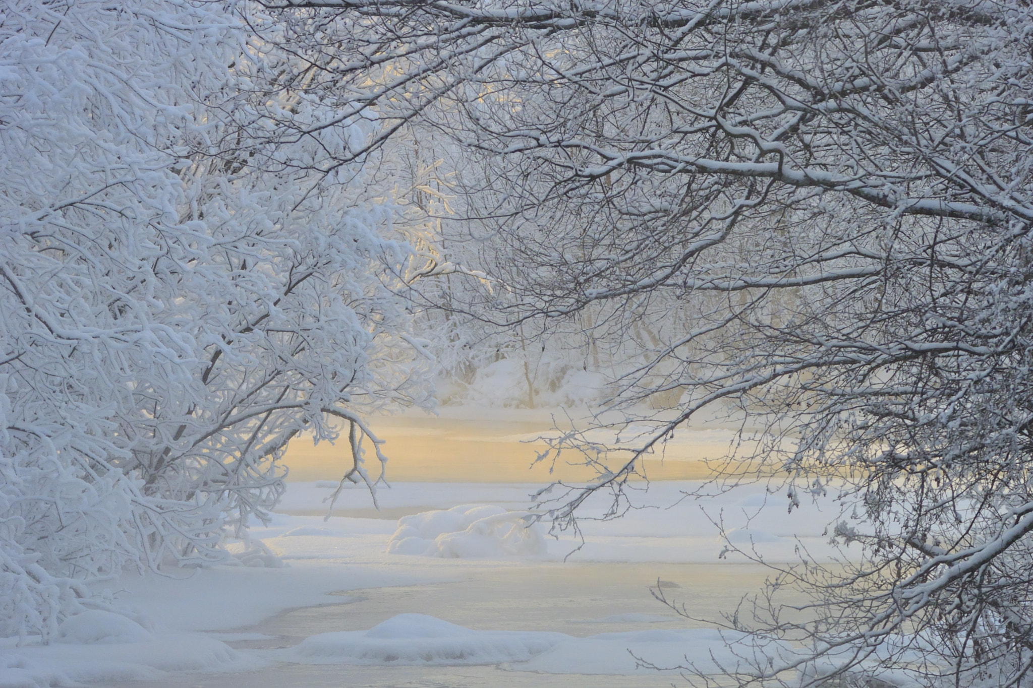 Nikon 1 V2 sample photo. River freezing cold photography