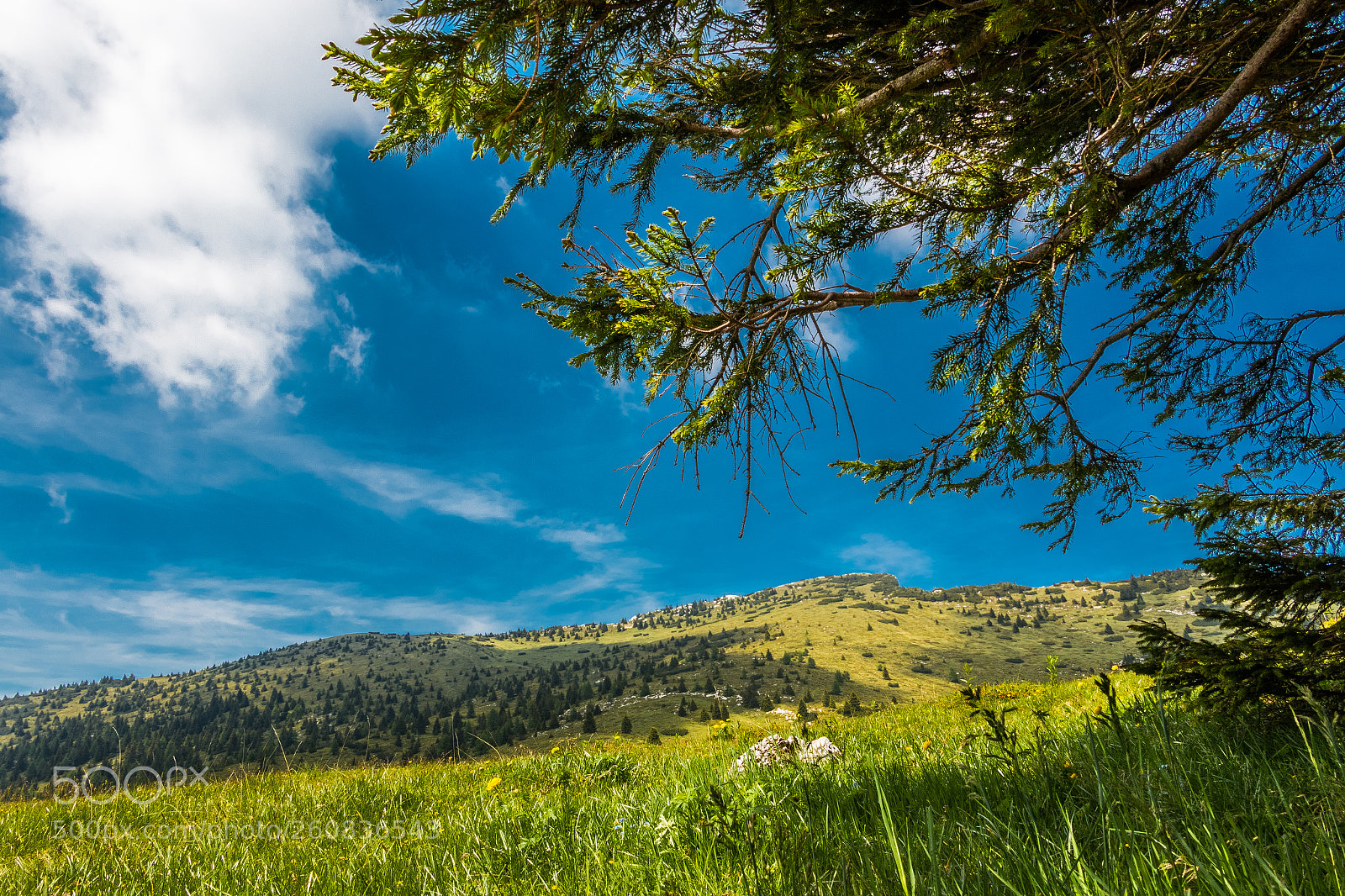 Canon EOS 70D sample photo. Alle falde del mandriolo photography