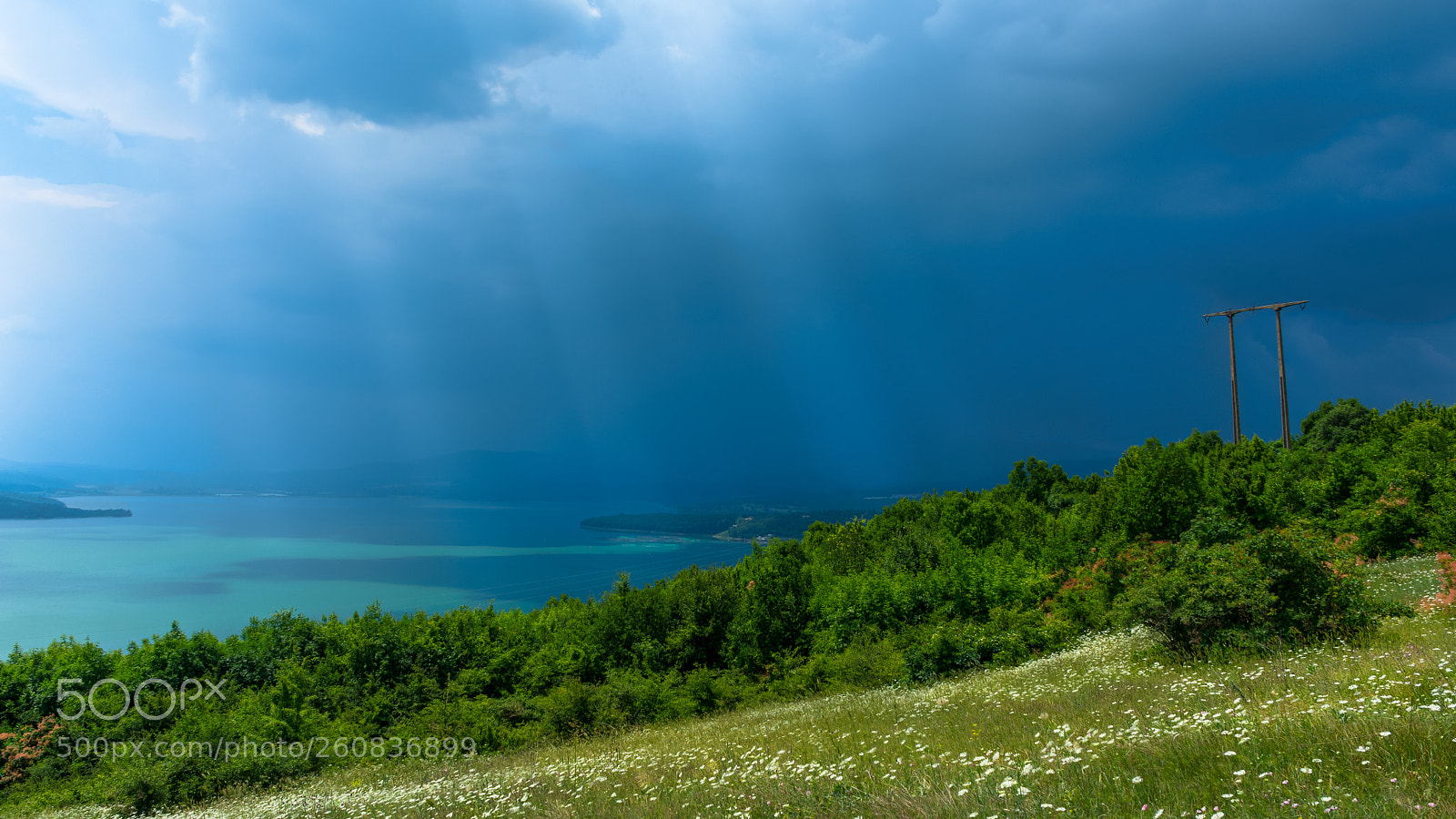 Nikon D7200 sample photo. Rays of sun over photography