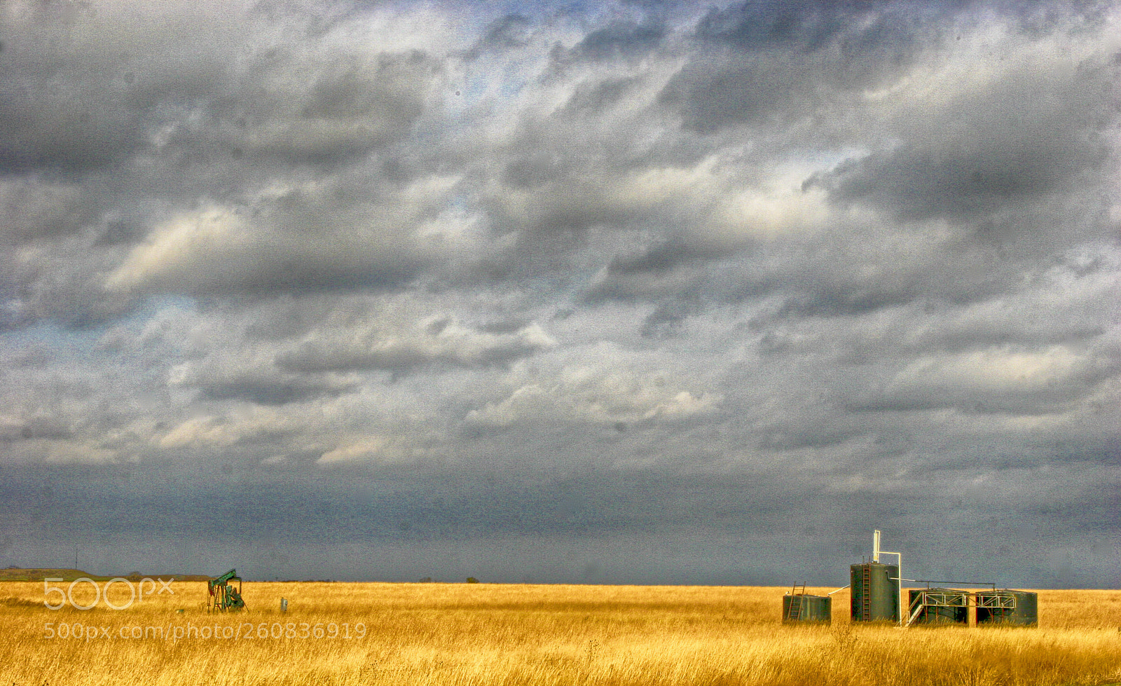 Canon EOS 20D sample photo. Black gold photography
