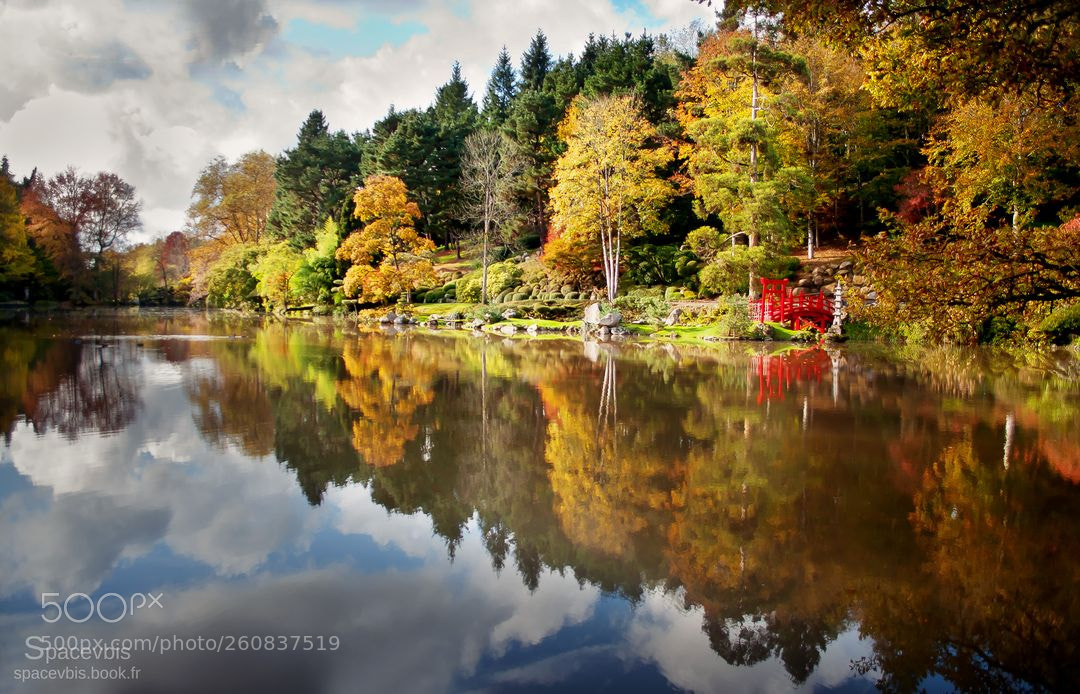 Nikon D5000 sample photo. Autumn photography