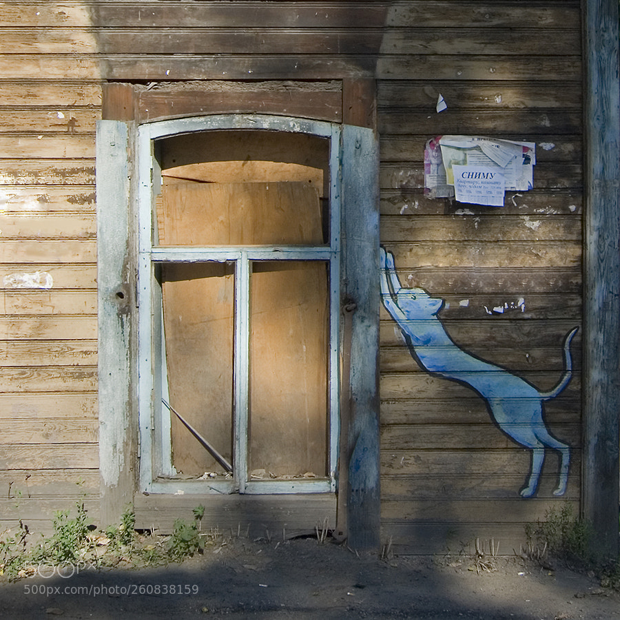 Nikon D200 sample photo. Irkutsk, russia photography