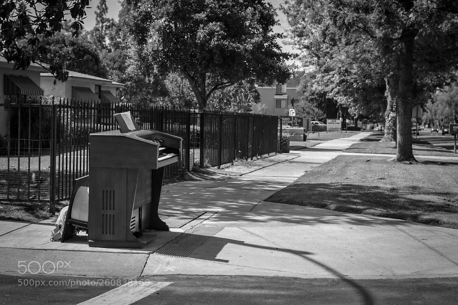 Nikon D3400 sample photo. Untitled photography
