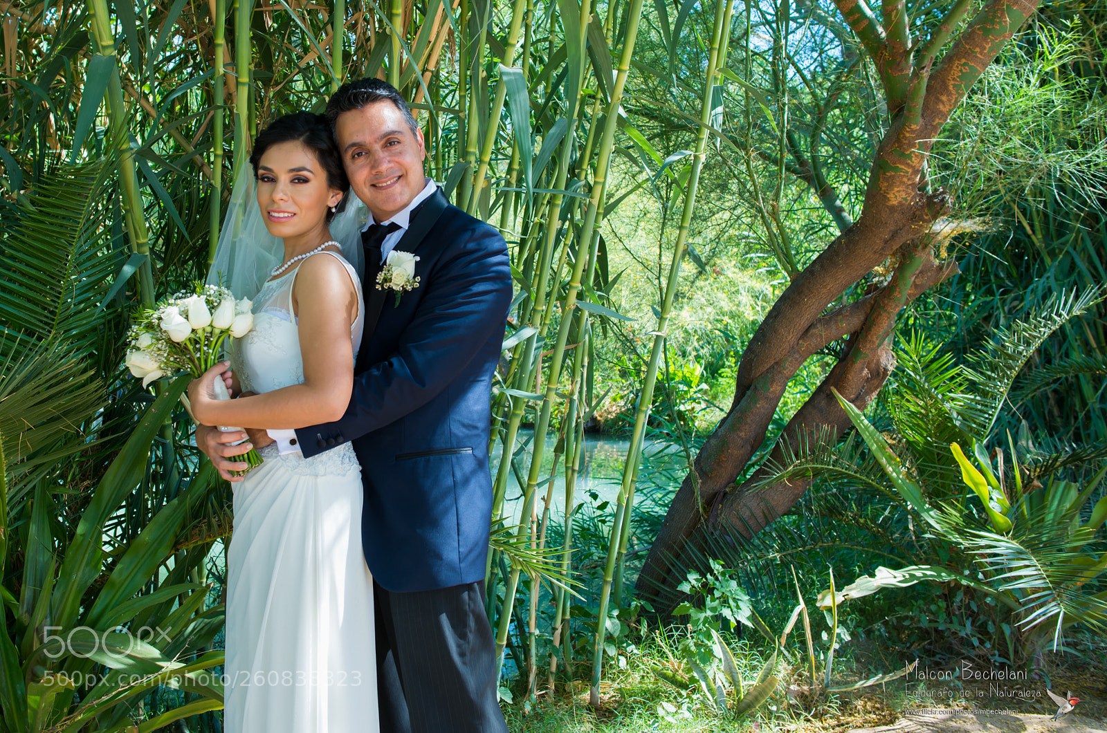 Nikon D800 sample photo. Dsc photography