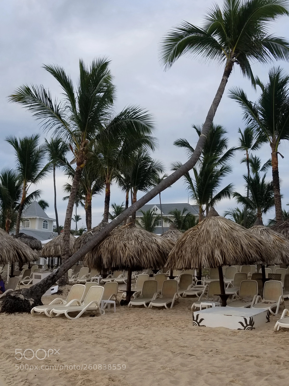 Samsung Galaxy S8 sample photo. Beach day photography