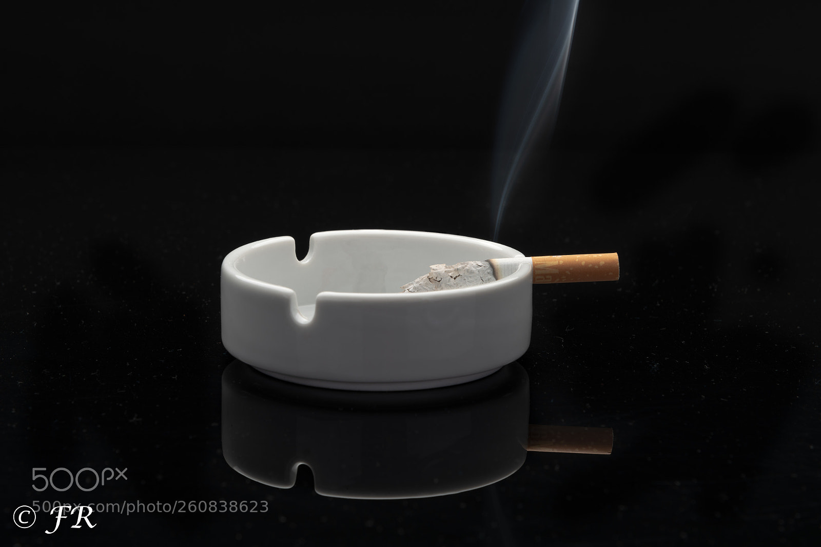 Nikon D850 sample photo. Untitled photography