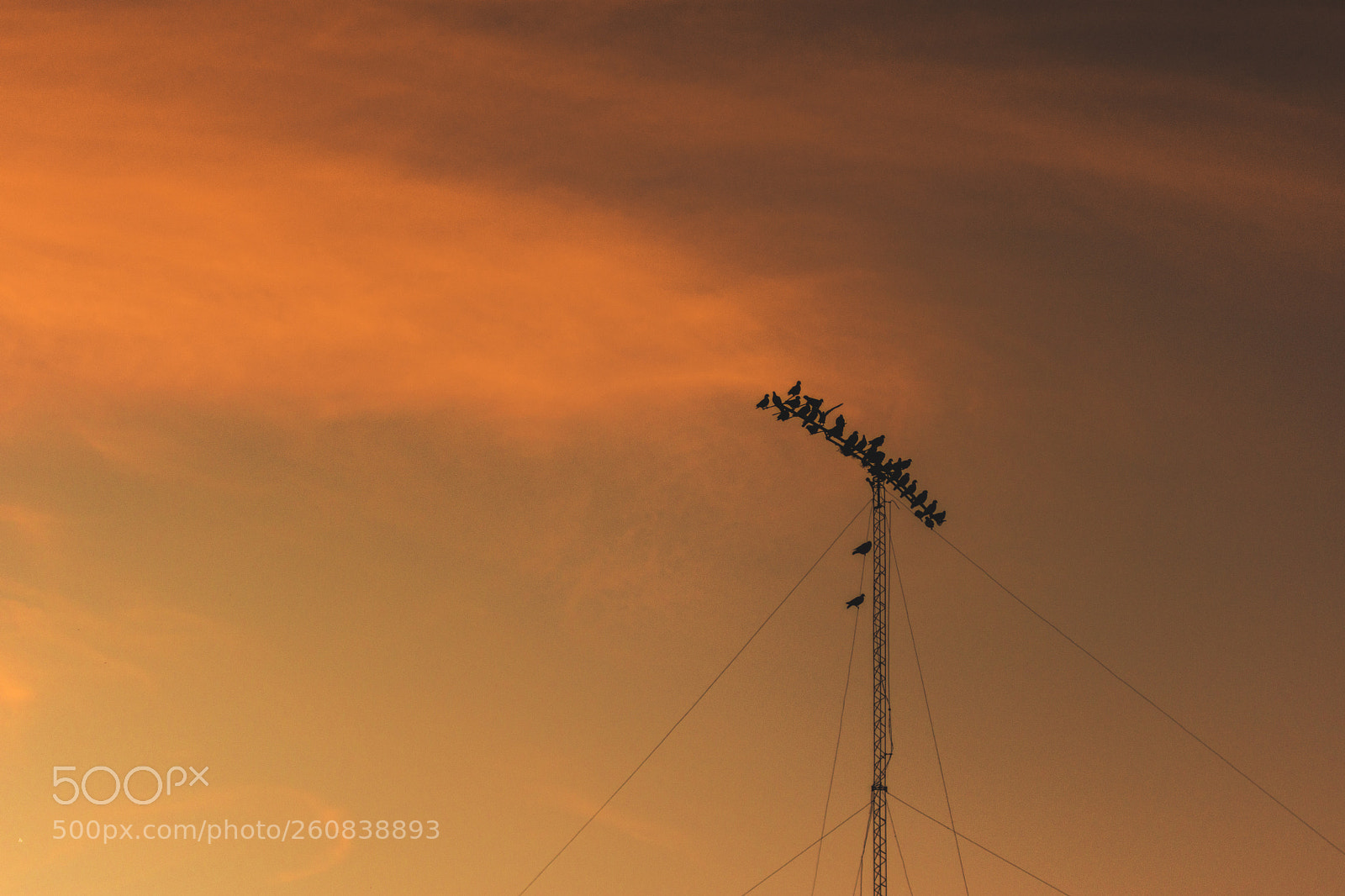 Nikon D7200 sample photo. Atardecer photography