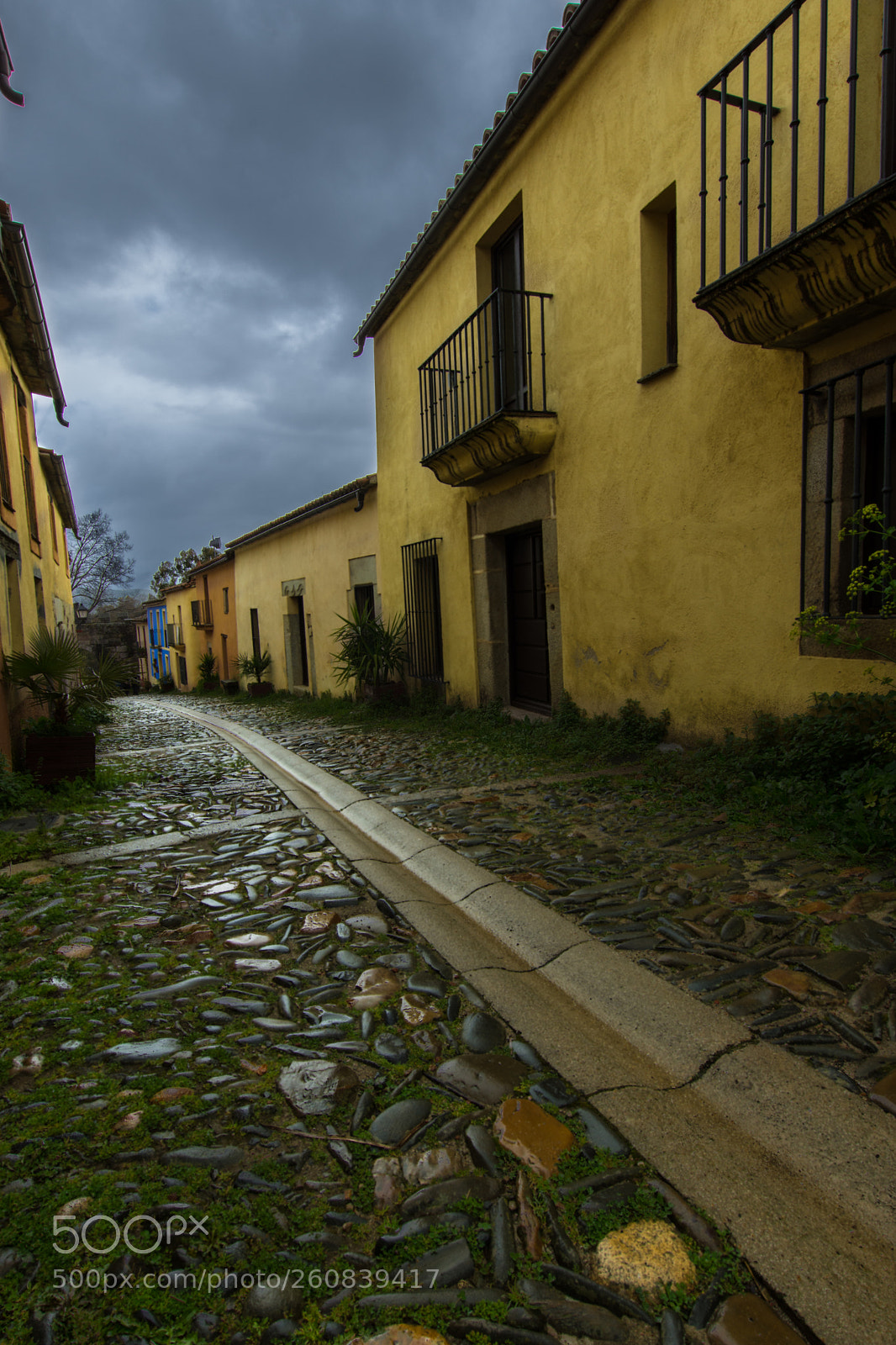 Nikon D7200 sample photo. Kale bustia photography