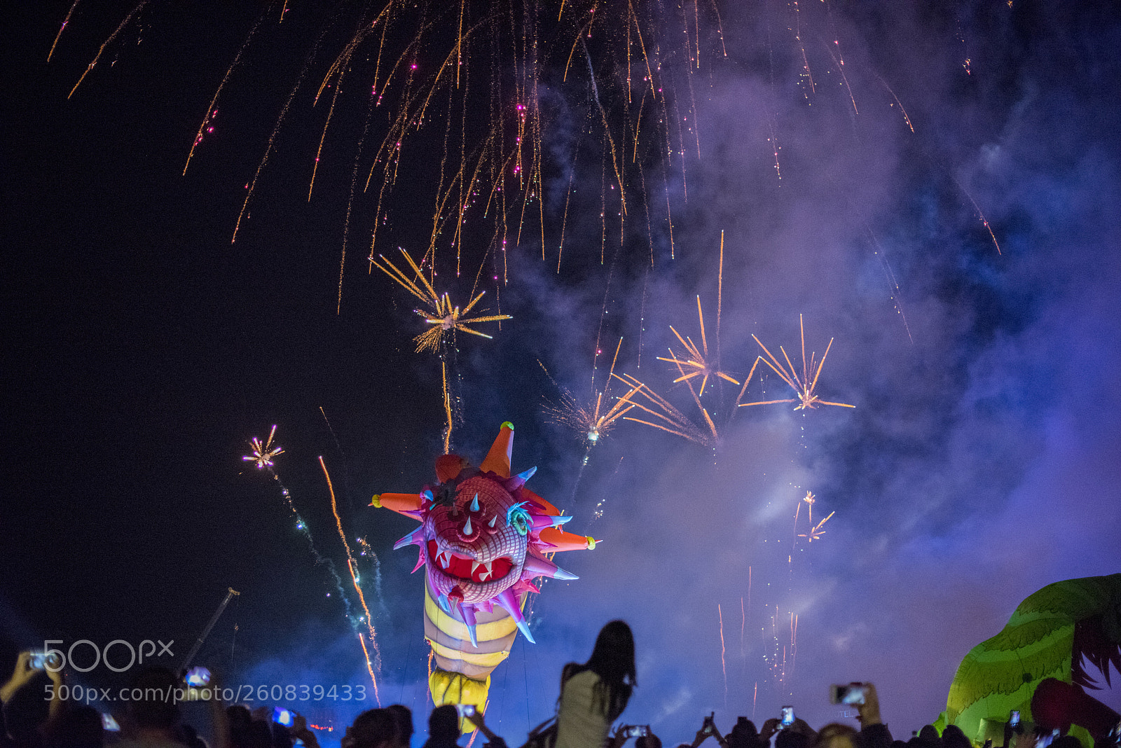 Nikon D810 sample photo. Annual 18th great dragon photography