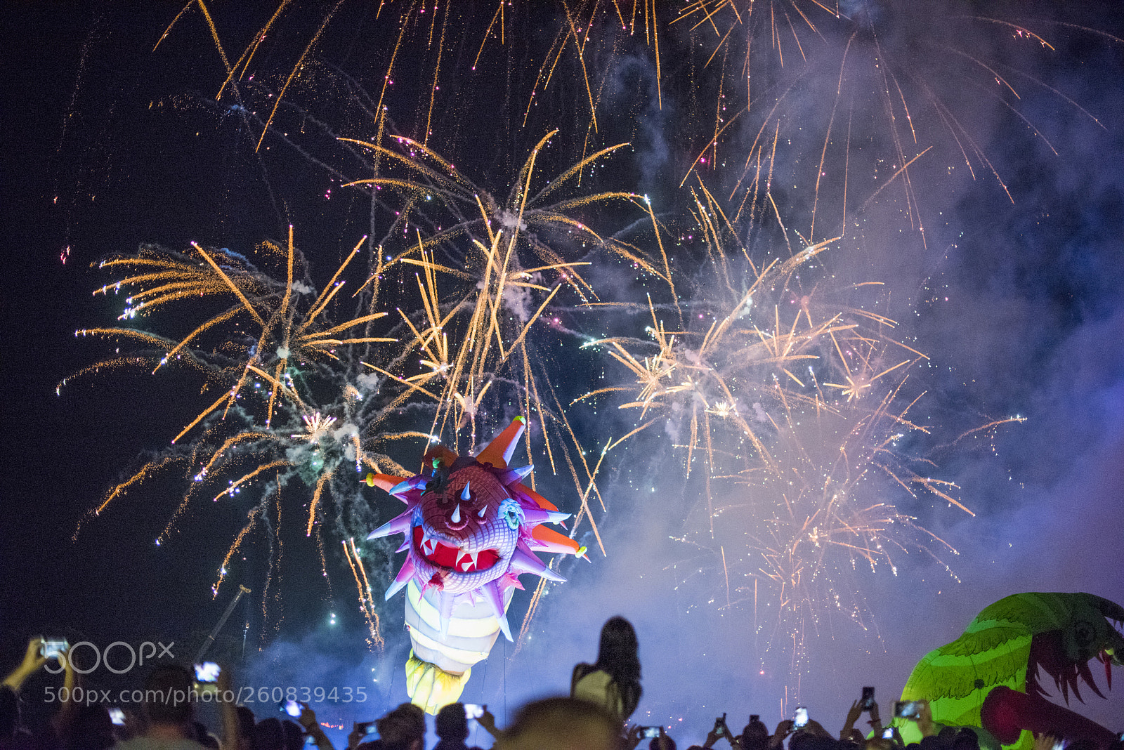 Nikon D810 sample photo. Annual 18th great dragon photography
