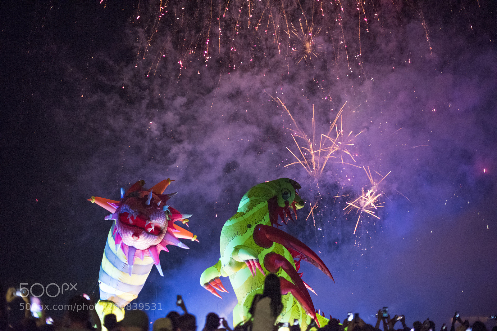 Nikon D810 sample photo. Annual 18th great dragon photography