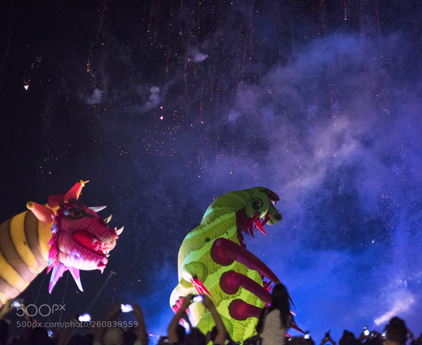 Nikon D810 sample photo. Annual 18th great dragon photography