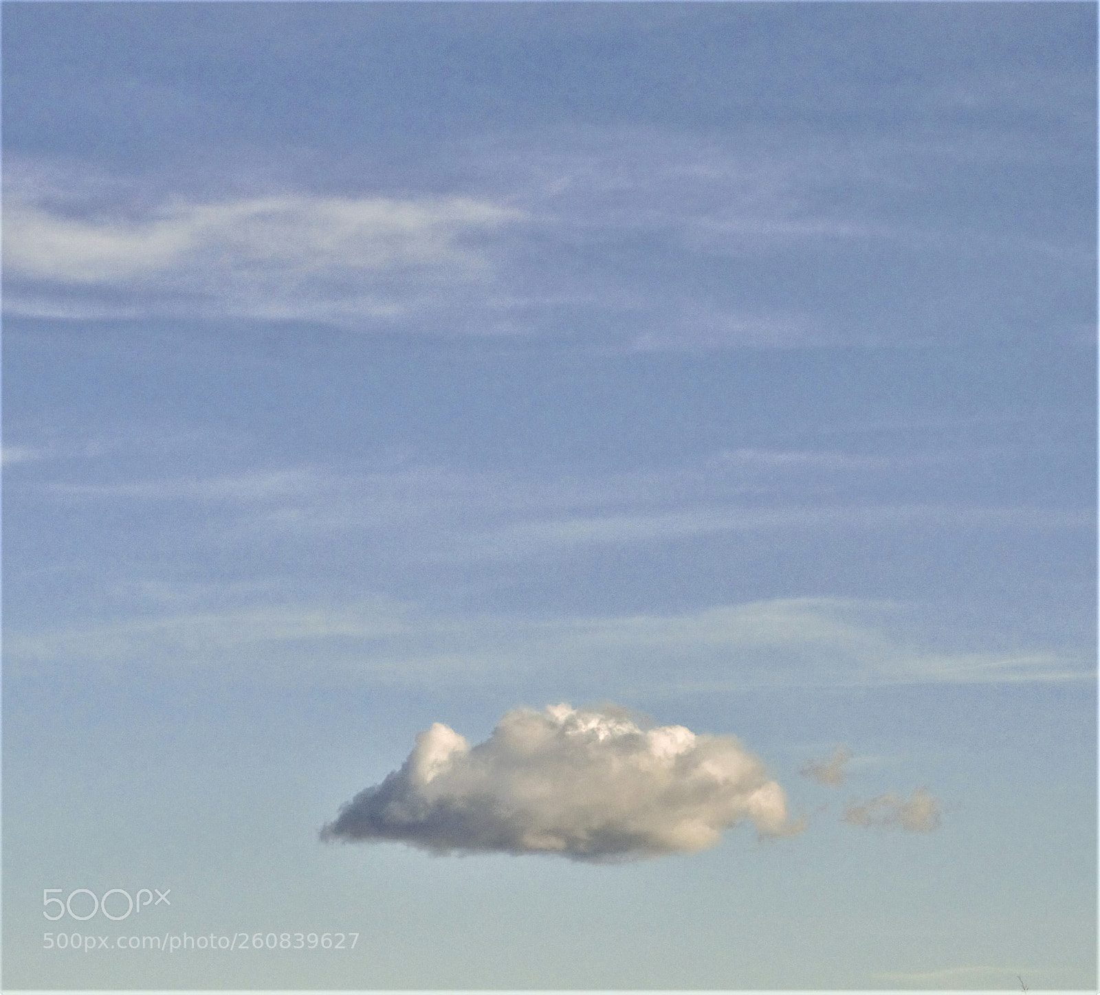 Nikon D800 sample photo. Floating photography