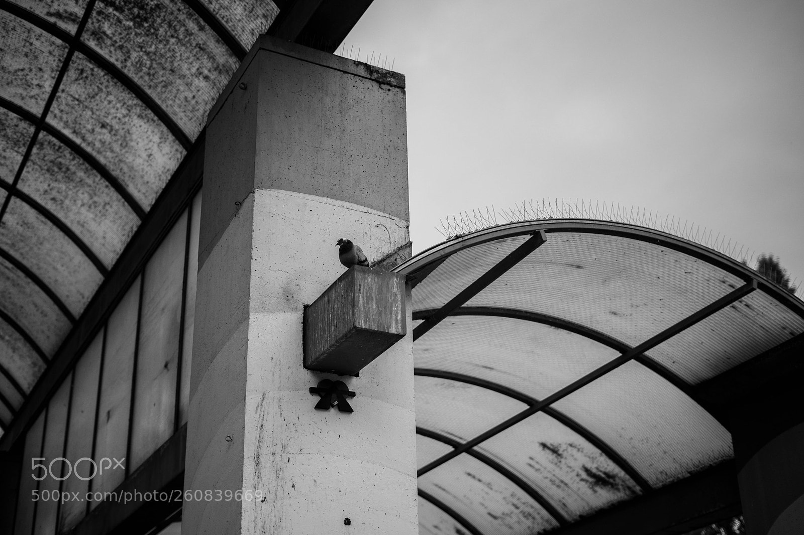 Sony a7 III sample photo. Pigeon's rest photography