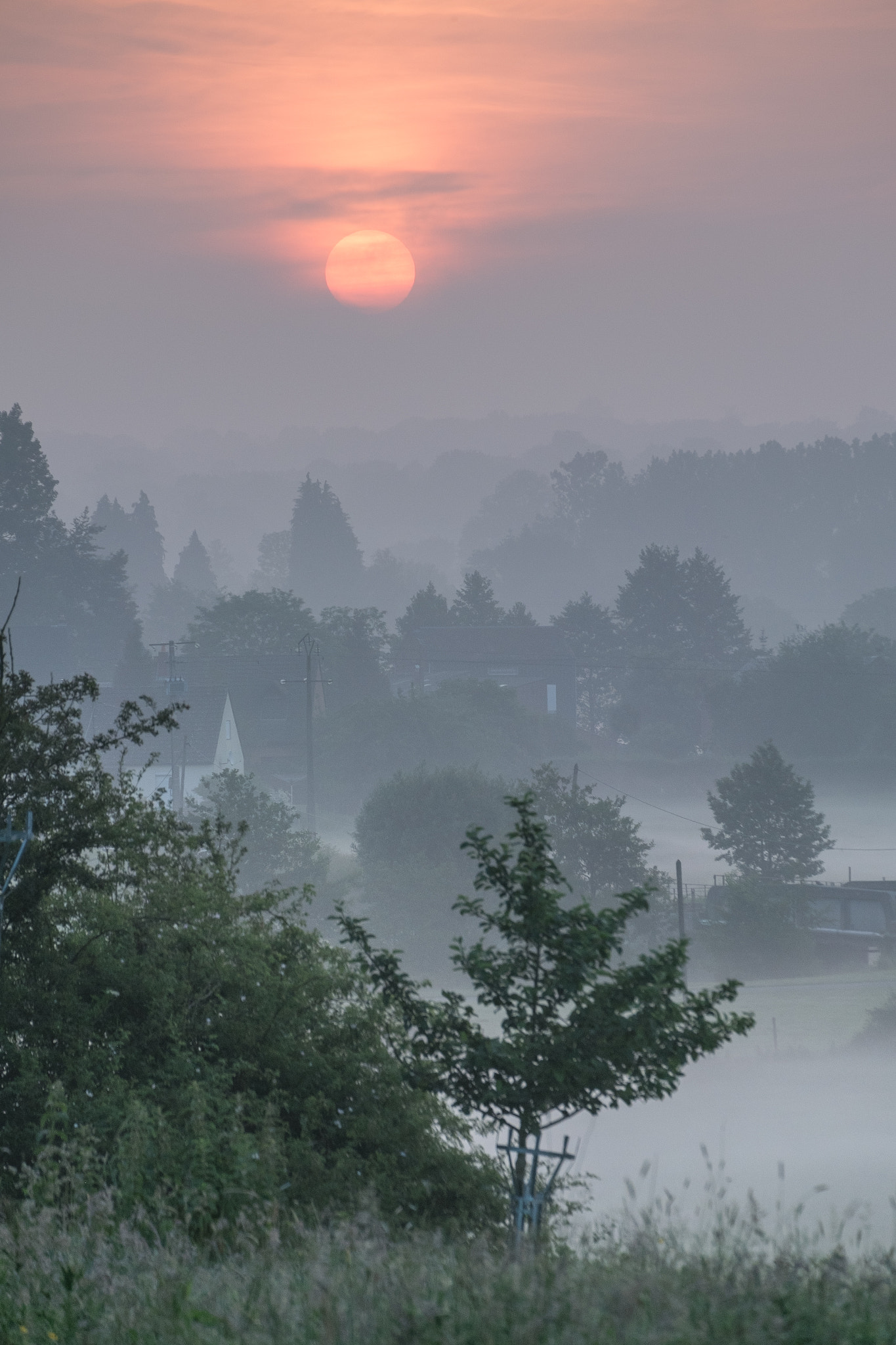 Fujifilm X-M1 sample photo. New misty morning photography