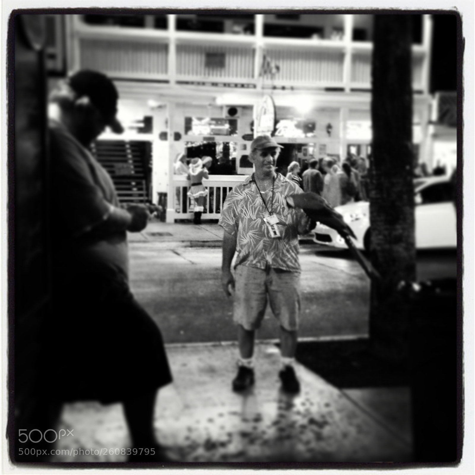 Apple iPhone 4S sample photo. Untitled photography