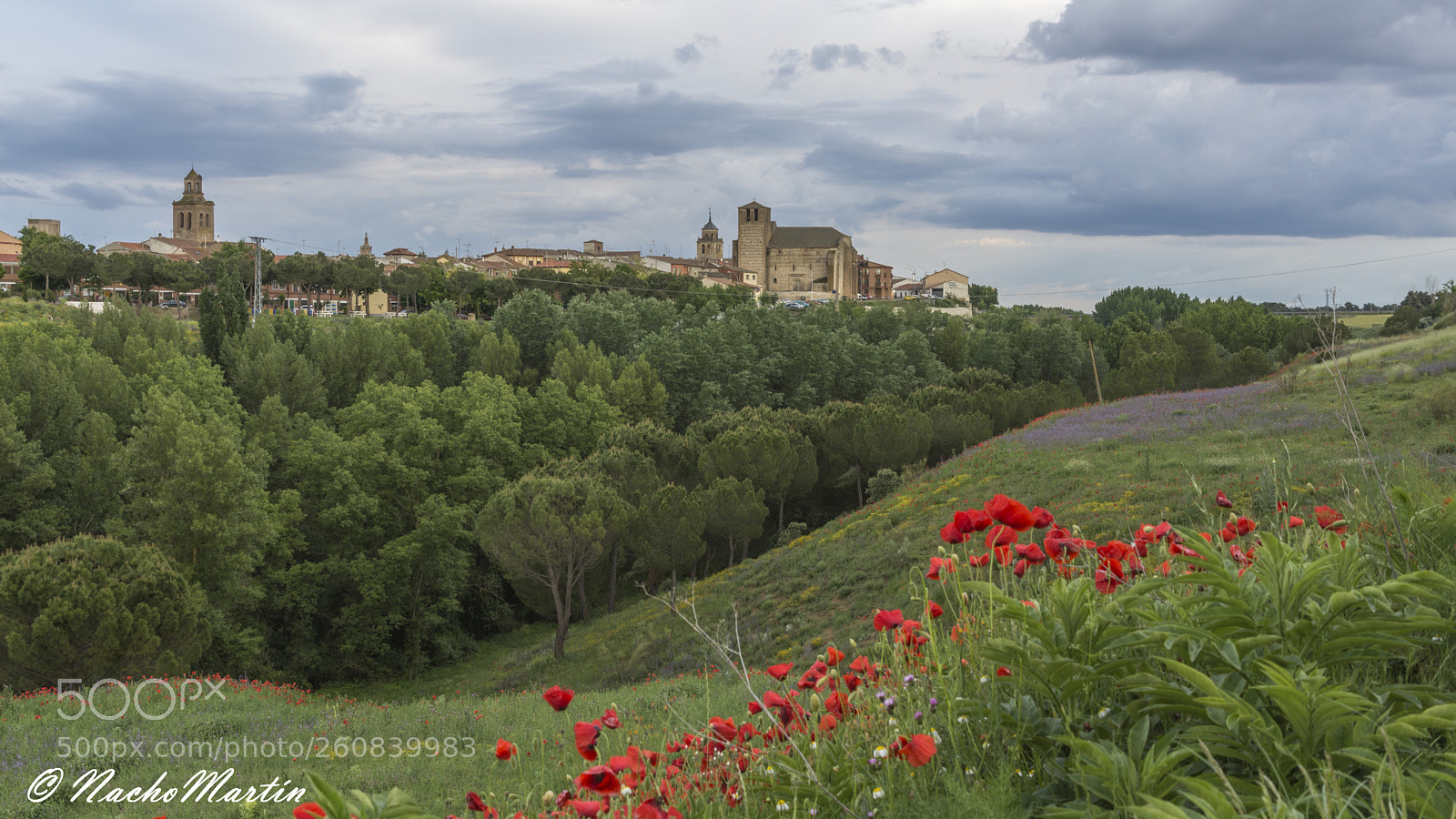 Nikon D7200 sample photo. Primavera en arévalo photography