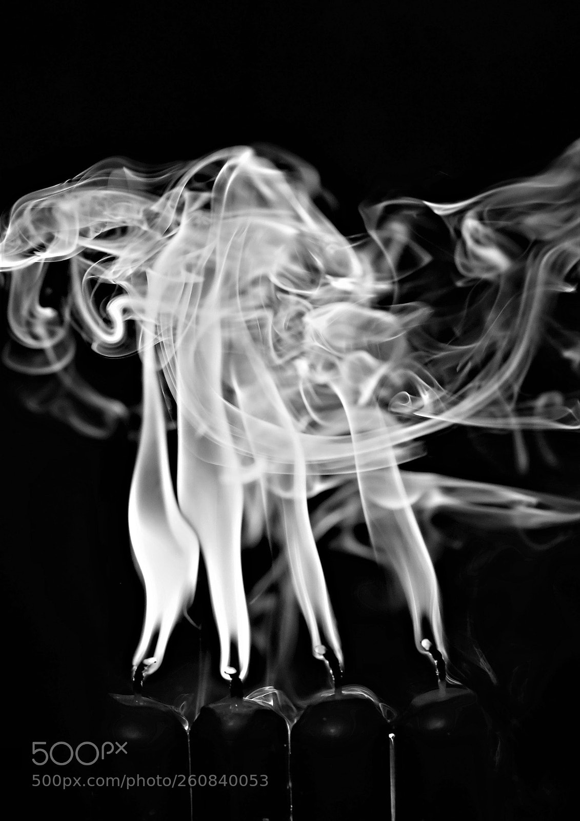 Nikon D5 sample photo. Candela photography