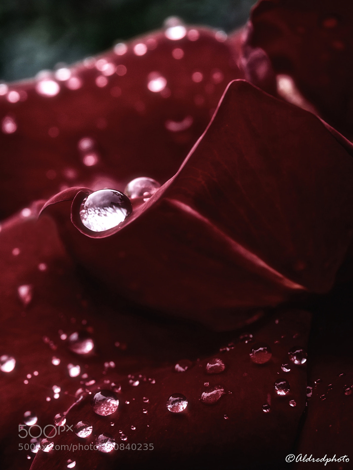 Canon EOS 6D sample photo. Memories in the rain photography
