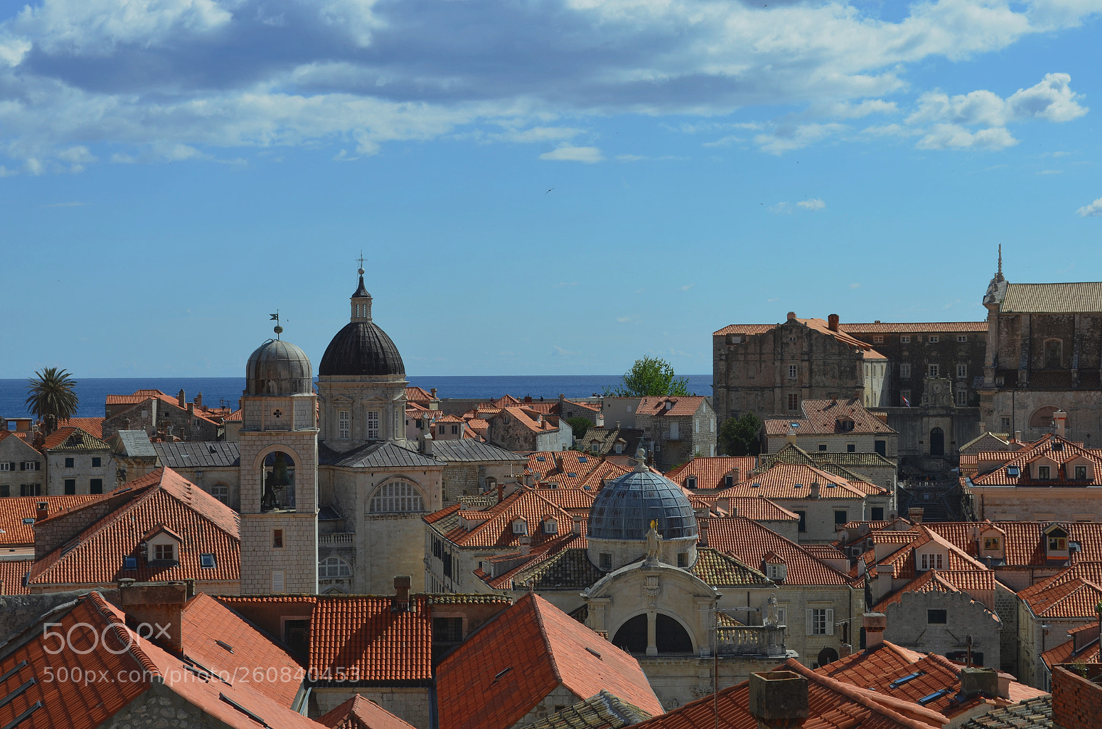 Nikon D5100 sample photo. Dubrovnik mesh photography