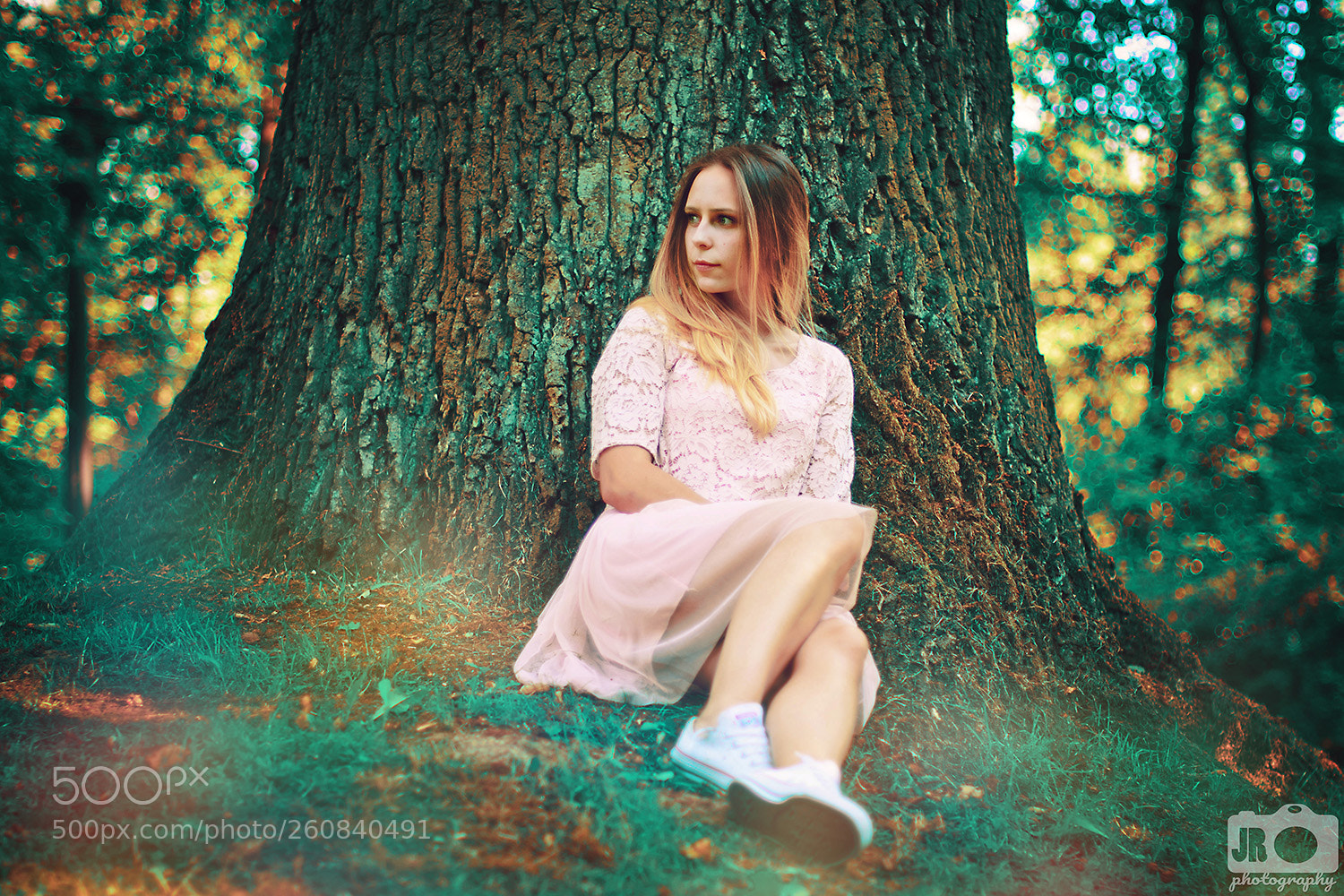 Nikon D7000 sample photo. Forest photography