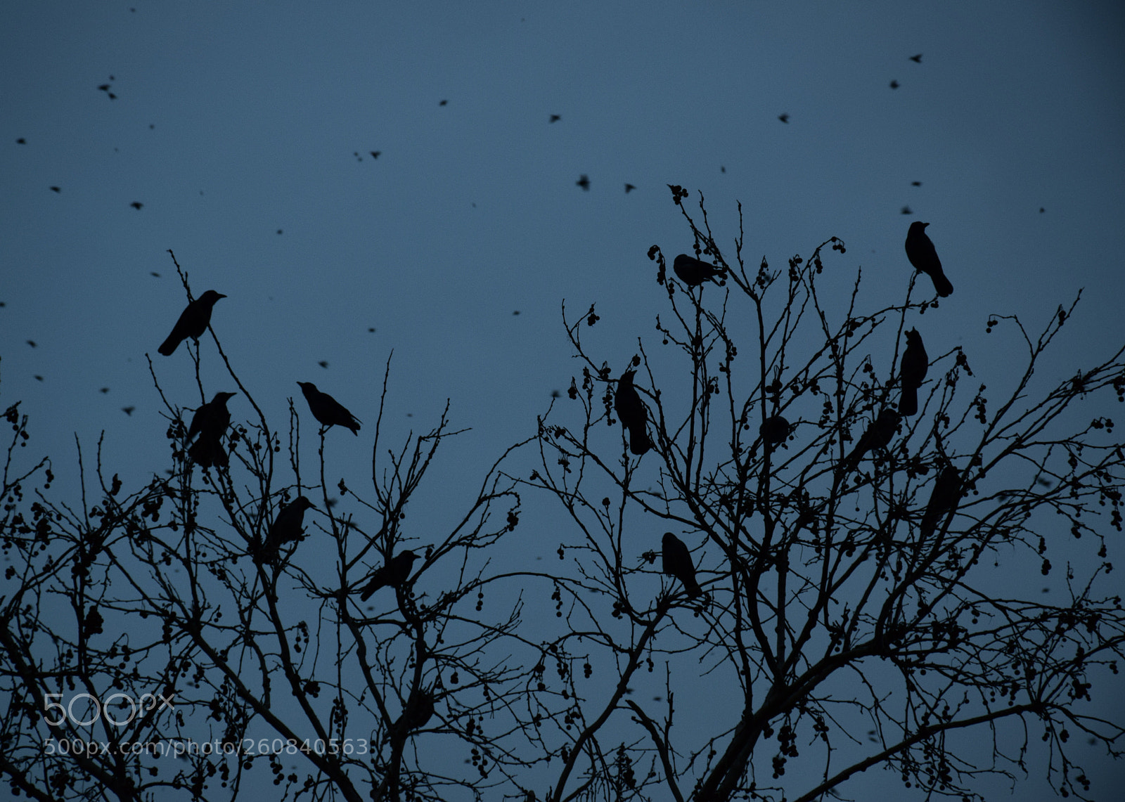 Nikon D5300 sample photo. Untitled photography