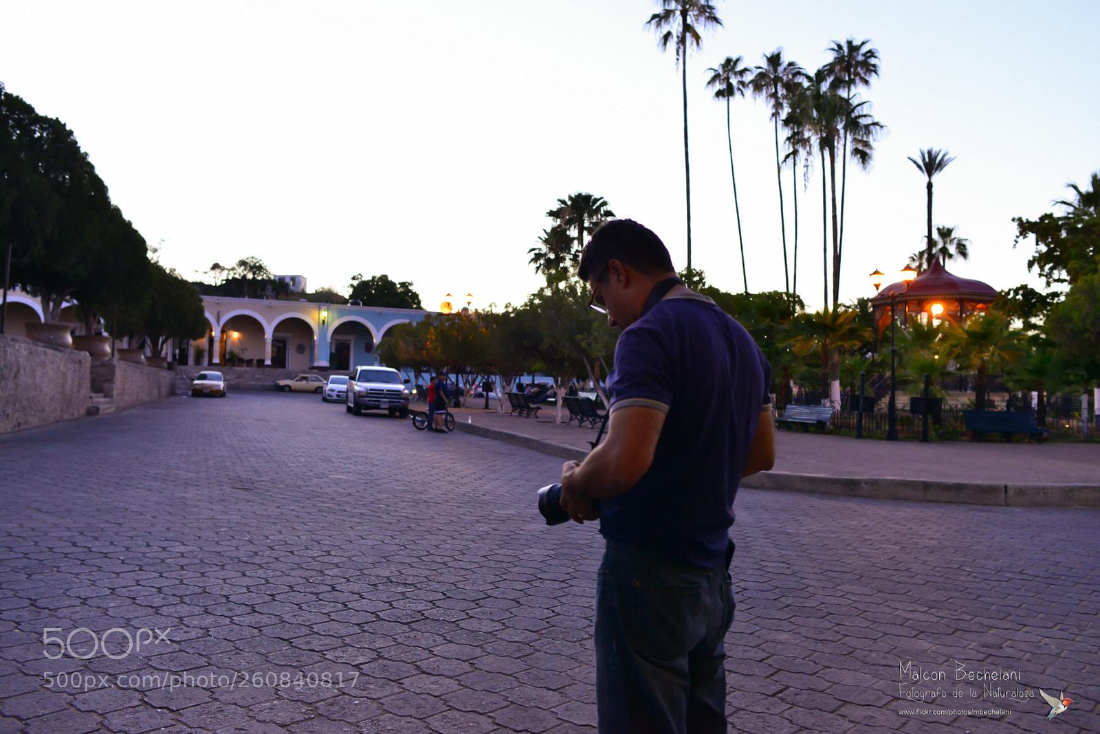 Nikon D800 sample photo. Dsc_4634-2.jpg photography