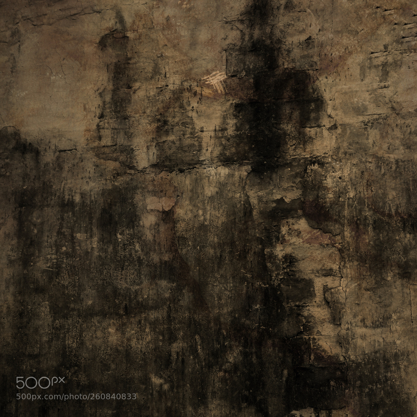Canon EOS 5DS R sample photo. Untitled photography