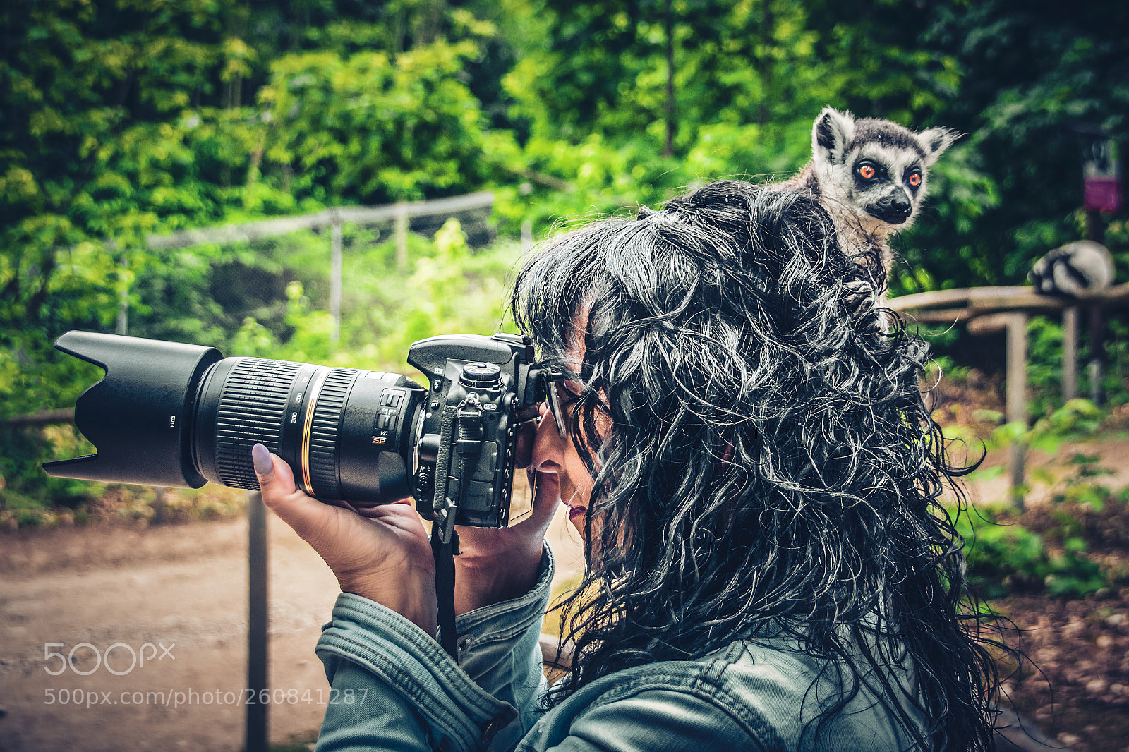 Nikon D5300 sample photo. Curious look photography