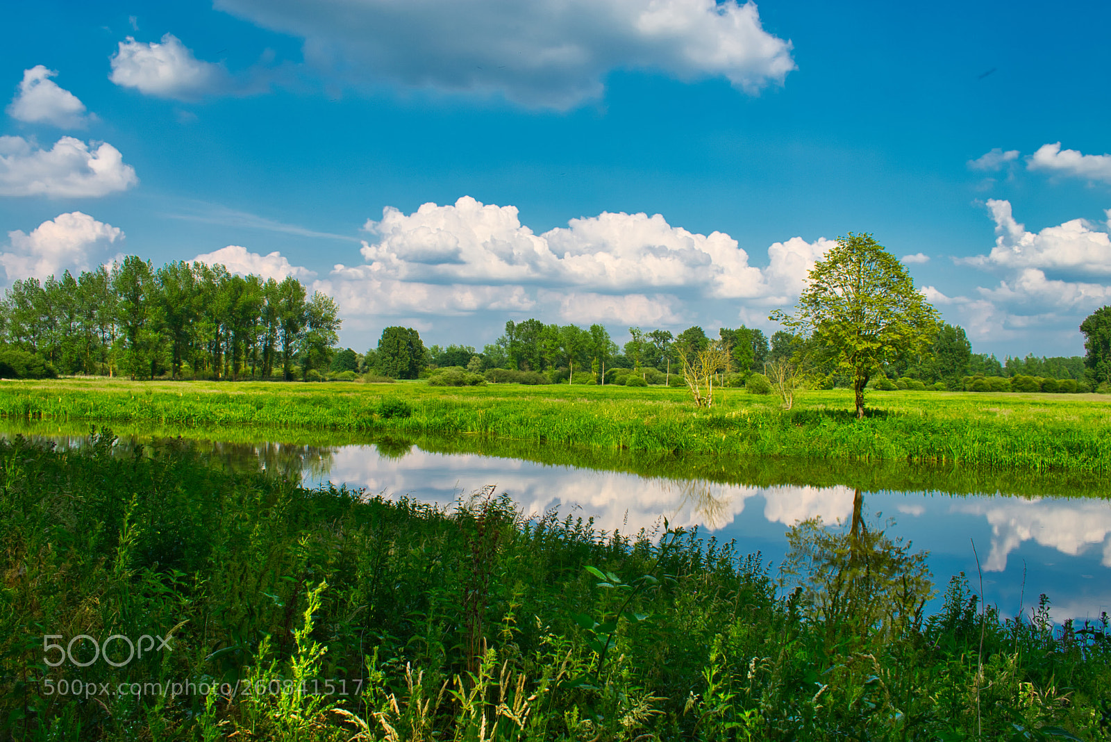 Nikon D3400 sample photo. Just another view photography