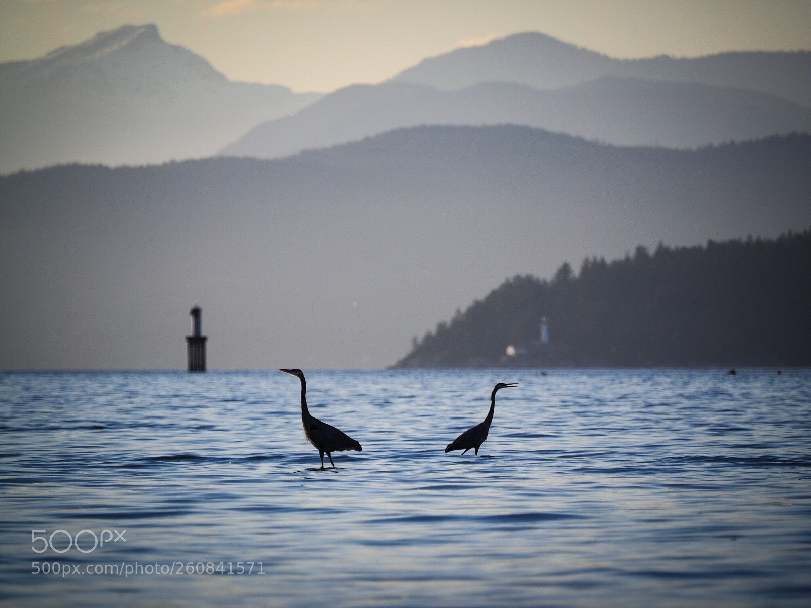 Olympus OM-D E-M1 sample photo. Fishing photography