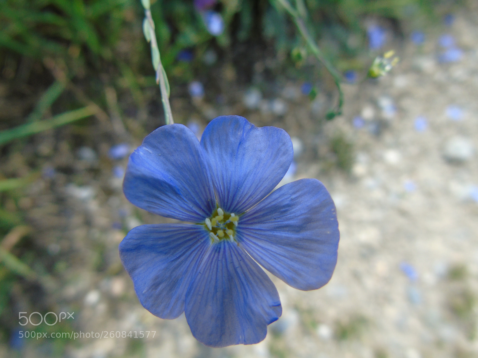 Sony Cyber-shot DSC-H400 sample photo. +++ photography