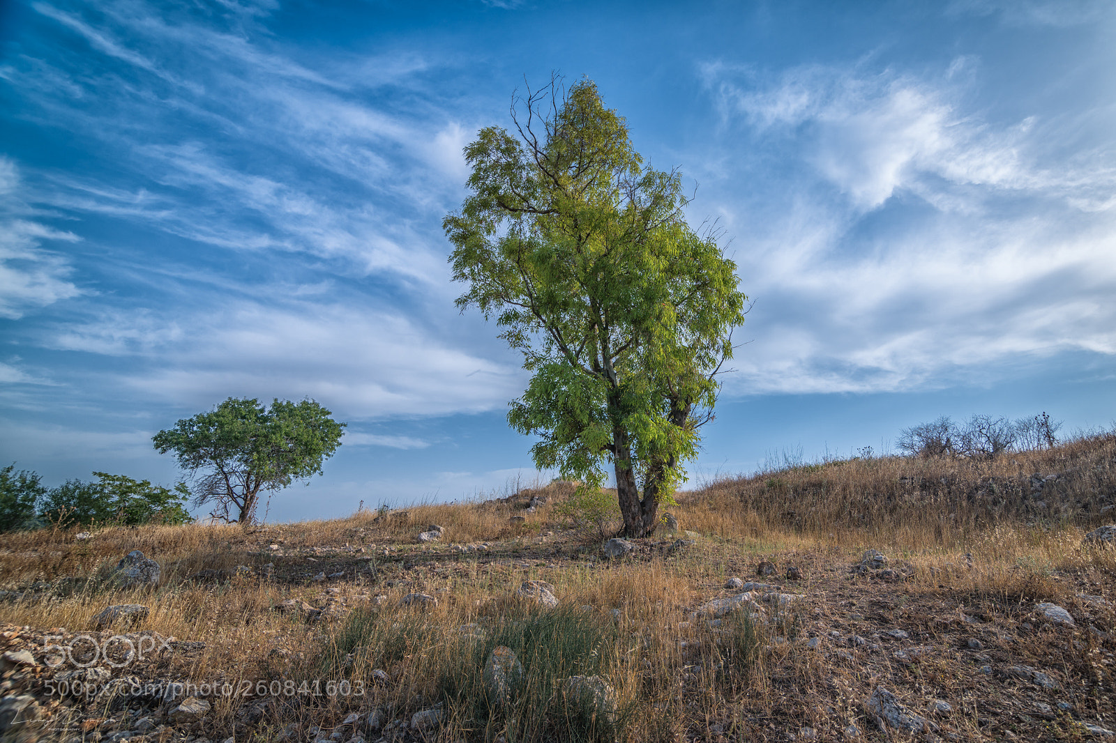 Nikon D850 sample photo. High clouds in the photography